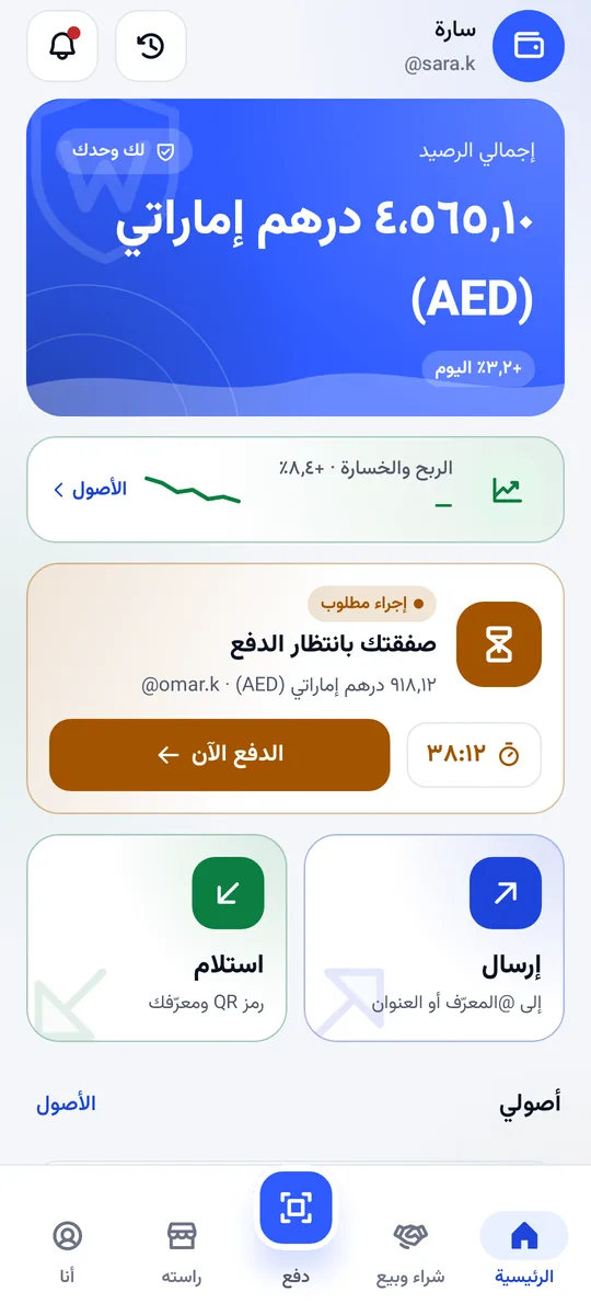 الشاشة الرئيسية في ولتيفاي: إجمالي الرصيد، الإرسال والاستلام، وأصولك
